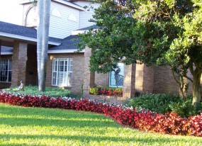 Landscaping Lakeland FL